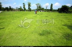 青青青草国产免费观看,国产免费观看，绿色生态影视盛宴